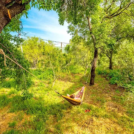 Begonvil Tatil Evi *